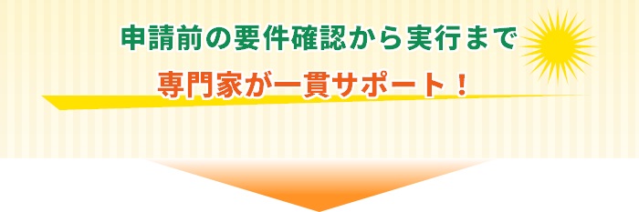 社会保険労務士・中小企業診断士による申請前診断とワンストップ支援